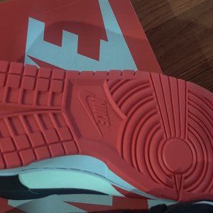 75th edition Chicago Bull dunks